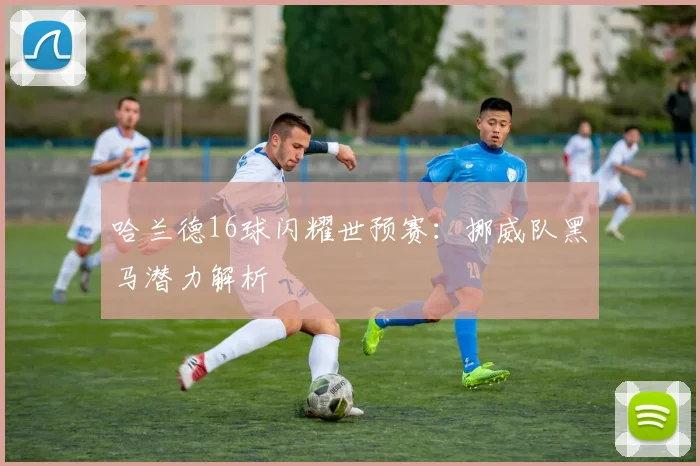 哈兰德16球闪耀世预赛:挪威队黑马潜力解析
