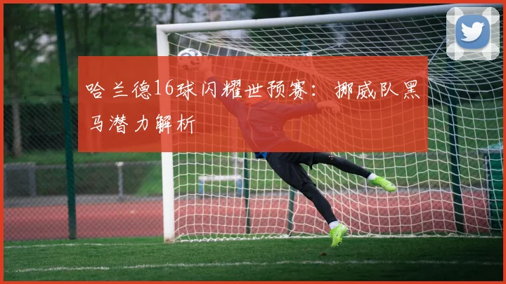 哈兰德16球闪耀世预赛：挪威队黑马潜力解析